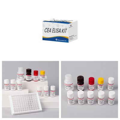 Hedeflerin Kvantitatif ve Niteliksel Analizi İçin Kesin CEA Kvantitatif Elisa Test Kütesi