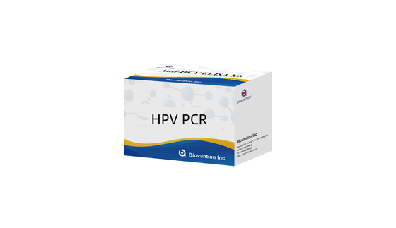 İnsan Papilloma Virüsü tespit kiti HPV PCR Multiplex Gerçek zamanlı PCR talimatları