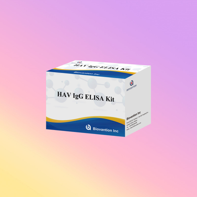 Yüksek Duyarlılıklı HAV IgG ELISA Kütesi Doğru Hepatit A Virüs Bulma Güvenilir CE Sertifikalı Klinik ve Araştırma Kullanımı
