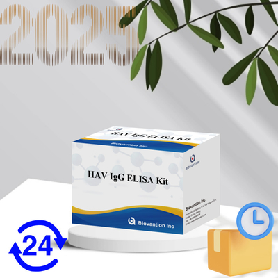Yüksek Duyarlılıklı HAV IgG ELISA Kütesi Doğru Hepatit A Virüs Bulma Güvenilir CE Sertifikalı Klinik ve Araştırma Kullanımı