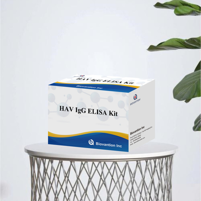 Yüksek Duyarlılıklı HAV IgG ELISA Kütesi Doğru Hepatit A Virüs Bulma Güvenilir CE Sertifikalı Klinik ve Araştırma Kullanımı