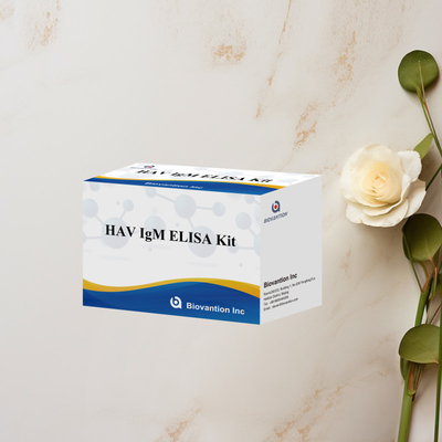 HAV IgM ELISA Kit Yüksek Duyarlılık Hepatit A Virüs tespiti Klinik laboratuvarlar için güvenilir doğru teşhis testi