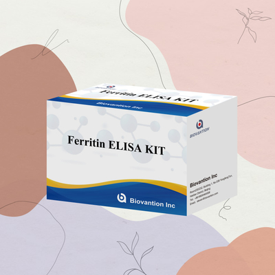 Biovantion Yüksek Duyarlılık Ferritin Elisa Test Kütesi Klinik Teşhis ve Araştırma Kullanımı için Niyetsel Bulma İnsan Serum Plazma Örnekleri