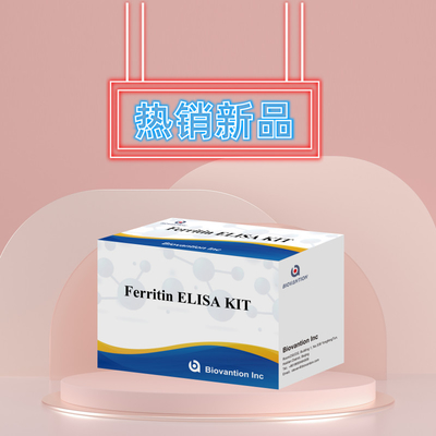 Biovantion Yüksek Duyarlılık Ferritin Elisa Test Kütesi Klinik Teşhis ve Araştırma Kullanımı için Niyetsel Bulma İnsan Serum Plazma Örnekleri