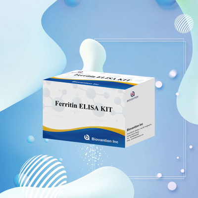 Biovantion Yüksek Duyarlılık Ferritin Elisa Test Kütesi Klinik Teşhis ve Araştırma Kullanımı için Niyetsel Bulma İnsan Serum Plazma Örnekleri