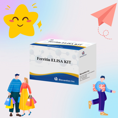 Biovantion Yüksek Duyarlılık Ferritin Elisa Test Kütesi Klinik Teşhis ve Araştırma Kullanımı için Niyetsel Bulma İnsan Serum Plazma Örnekleri