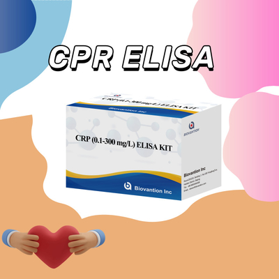 Biolojik maddelerin hassas tespiti için doğru CRP 0.1-300 Mg/L Elisa Test Kits