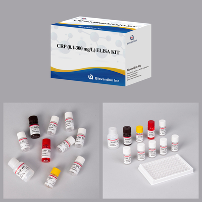 Biolojik maddelerin hassas tespiti için doğru CRP 0.1-300 Mg/L Elisa Test Kits