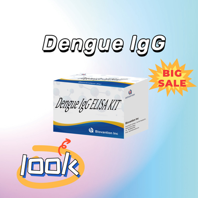 Hassas ve Özel Sonuçlar İçin Yüksek Performanslı Dengü IgG Elisa Test Kiti