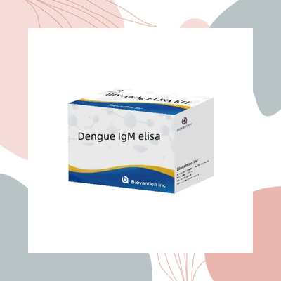 Dengü Virüsü ile In Vitro Tanısal Enfeksiyon için Dengü IgM ELISA