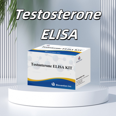 Testosteron Antibody Test Kütesi Kesin ve Duyarlı Bulma