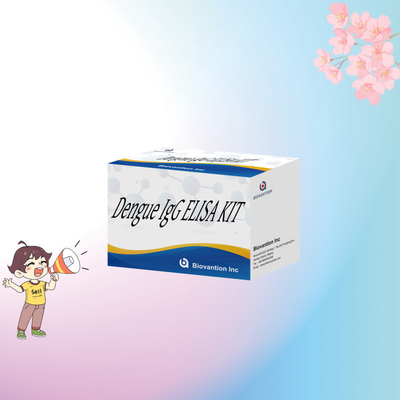 Biolojik numunelerin özel ve analizi için özelleştirilebilir Dengü IgG ELISA Kiti