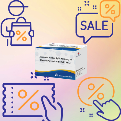 Gelişmiş İnsan Parvovirus B19 IgM Antibody ELISA Test Keti Hamilelik tespiti ve taraması için