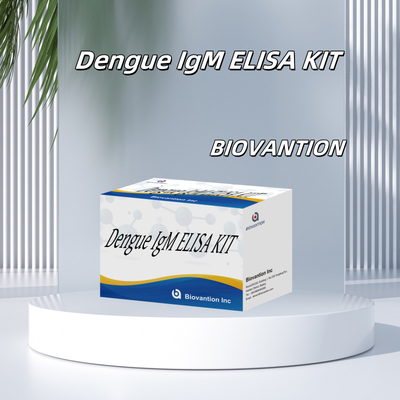 Düşük algılama sınırları ve yüksek hassasiyet için yüksek hassaslıkta dengü IgM Elisa test kiti