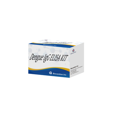 Yüksek hassasiyetli IVD Reagansları Dengü IgG ELISA Kit İnsan Serum Plazma ile tespit için