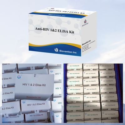 Hızlı ve Kolay Hastalık tespiti için HİV ELISA Test Seti