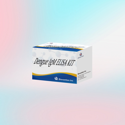 Moleküler hedeflerin ve biyomarkerlerin doğru tespiti için yüksek hassaslıklı Dengü IgM Elisa Kit