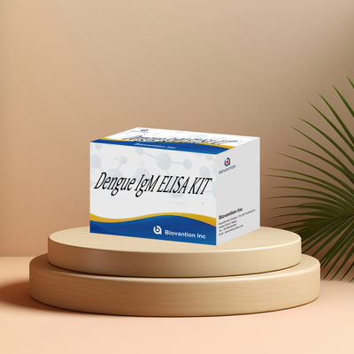 Moleküler hedeflerin ve biyomarkerlerin doğru tespiti için yüksek hassaslıklı Dengü IgM Elisa Kit