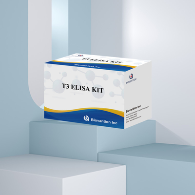 T3 Enzim Bağlı İmmunosorbant Test T3 ELISA Kit