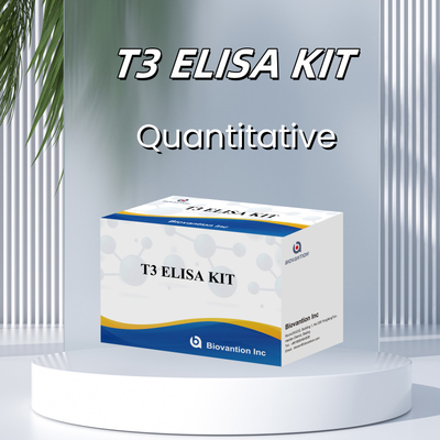 T3 Enzim Bağlı İmmunosorbant Test T3 ELISA Kit