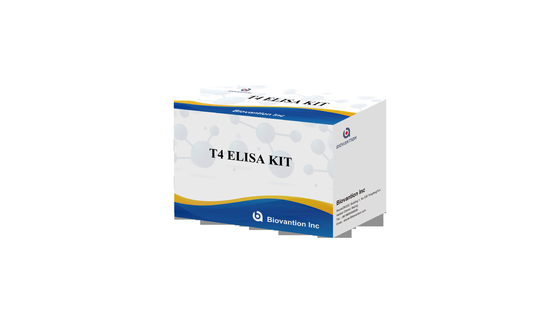 Hedef maddelerin doğru tespiti için yüksek spesifik T4 Elisa Test Kiti