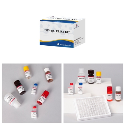 Çok Duyarlı CMV Elisa Test Kitsinde Doğru ve Kesin Sonuçlar