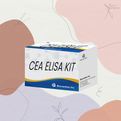 Yüksek Performanslı CEA Kvantitatif Elisa Test Kiti Araştırma ve Klinik için