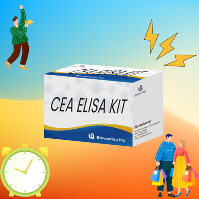 Yüksek Performanslı CEA Kvantitatif Elisa Test Kiti Araştırma ve Klinik için