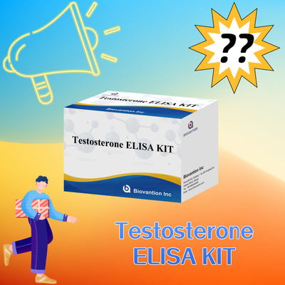 Biyomarkörlerin doğru miktarlandırılması için yüksek performanslı Teststerone Elisa Test Kits