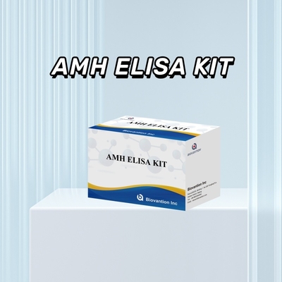 IVD testi 96 testi ile insan için tespit edilen Anti-Mullerian Hormonu AMH Elisa
