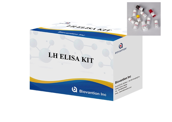 Tıbbi malzemeler yumurtlamayı tam olarak tespit eder LH Elisa Test Kiti