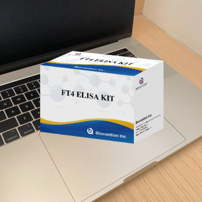 Laboratuvar veya hastane için yüksek hassasiyetli Thyroxin Free FT4 Elisa Test Kit