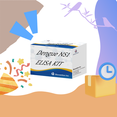 18 Ay Raf Ömrü, Yüksek Hassasiyetli ve Hastane Laboratuvar Teşhisi için 96 Test/Kit Dengue IgM ELISA Test Kiti
