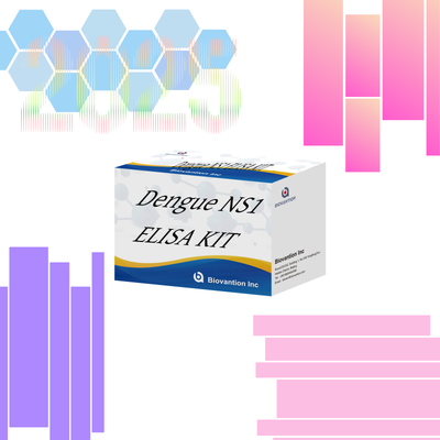 18 Ay Raf Ömrü, Yüksek Hassasiyetli ve Hastane Laboratuvar Teşhisi için 96 Test/Kit Dengue IgM ELISA Test Kiti