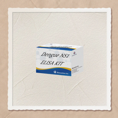 18 Ay Raf Ömrü, Yüksek Hassasiyetli ve Hastane Laboratuvar Teşhisi için 96 Test/Kit Dengue IgM ELISA Test Kiti