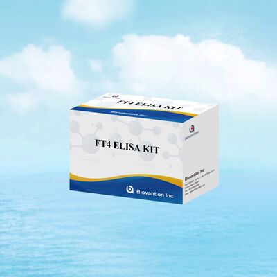 Tiroid Bozuklukları için% 98 spesifikliği ve% 95 hassasiyeti olan doğru FT4 Elisa Test Kits (96 Test)