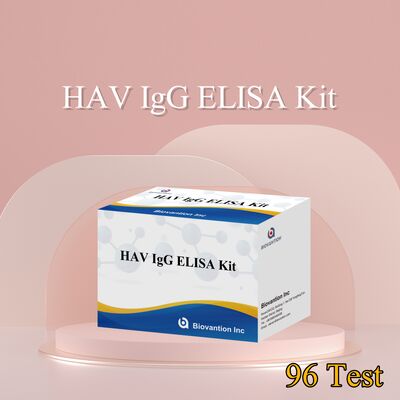 Yüksek Hassasiyetli HAV IgG ELISA Kiti (0.2 ng/mL) 96 Testte Doğru Hepatit A Virüsü Tespiti için CE Sertifikalı