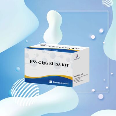 Yüksek Duyarlılık ve Yüksek Spesifikiteli HSV-2 IgG Antibody Deteksi Elisa Test Kiti 18 Aylık raf ömrü ile