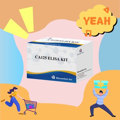 Yüksek Duyarlılık CA125 ELISA Test Kits'i, 96 test ve 1 saatlik test süresi ile kanserin doğru teşhisi için