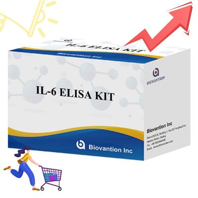 IL-6 İnterlökin-6 İnsan ELISA Kiti %99 Doğruluk, 24 Ay Raf Ömrü ve 96 Test/Kit