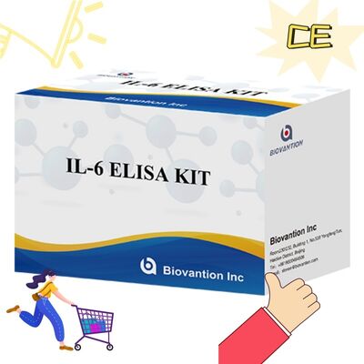 IL-6 İnterlökin-6 İnsan ELISA Kiti %99 Doğruluk, 24 Ay Raf Ömrü ve 96 Test/Kit