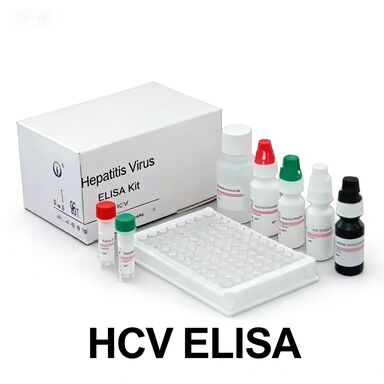 Hepatit C Virüsüne Karşı Anti-HCV Antikorları Enzim Bağlı Taşıma Zamanı Kısa