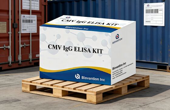 Laboratuvar veya Hastane Yüksek Doğruluklı CMV IgG Elisa Test Kits