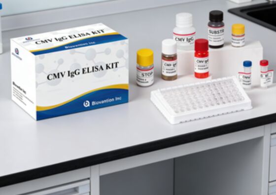 Laboratuvar veya Hastane Yüksek Doğruluklı CMV IgG Elisa Test Kits
