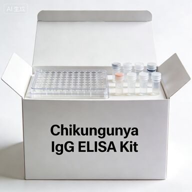 Chikungunya IgG In Vitro Diagnostic Reagent için ELISA Kits