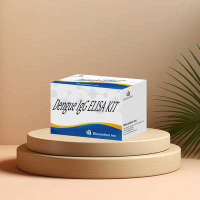 Klinik laboratuvarlarda 96 test/kit için yüksek hassasiyetli özelleştirilebilir Dengü IgG ELISA kiti