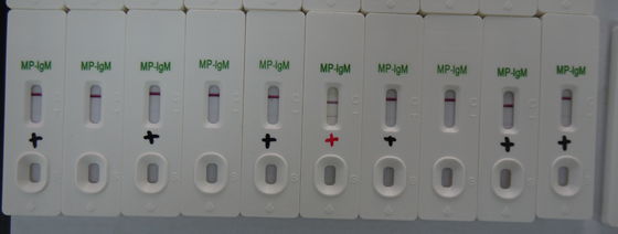 Mycoplasma Pneumoniae Test Kits