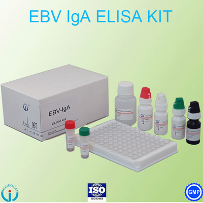 EBV-VCA IgA Ab Testi ELISA Kiti Enzim İmmünoassay Testi Plazma Örneği