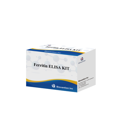 Biovantion Yüksek Duyarlılık Ferritin Elisa Test Kütesi Klinik Teşhis ve Araştırma Kullanımı için Niyetsel Bulma İnsan Serum Plazma Örnekleri