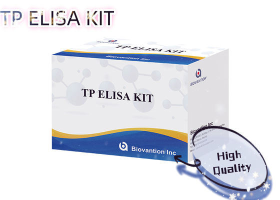 Sifilis TP ELISA Test Kits 96T Treponema Pallidum Antibody Deteksi İnsan Serumu